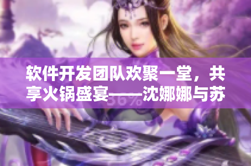 软件开发团队欢聚一堂，共享火锅盛宴——沈娜娜与苏清歌美满团圆