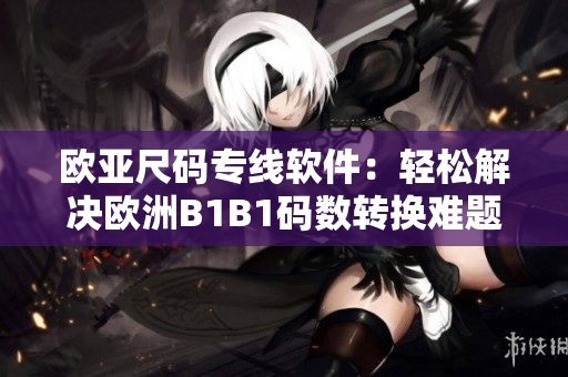 欧亚尺码专线软件：轻松解决欧洲B1B1码数转换难题
