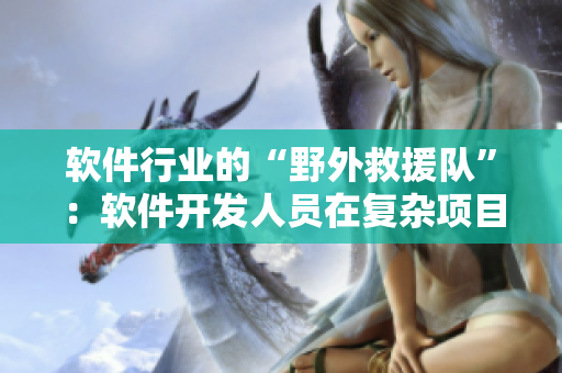 软件行业的“野外救援队”：软件开发人员在复杂项目中的角色
