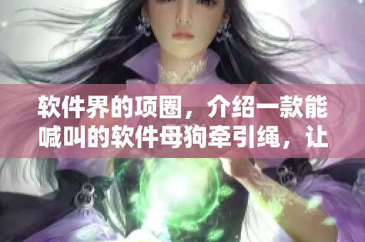 软件界的项圈，介绍一款能喊叫的软件母狗牵引绳，让你的电脑有声音指引！