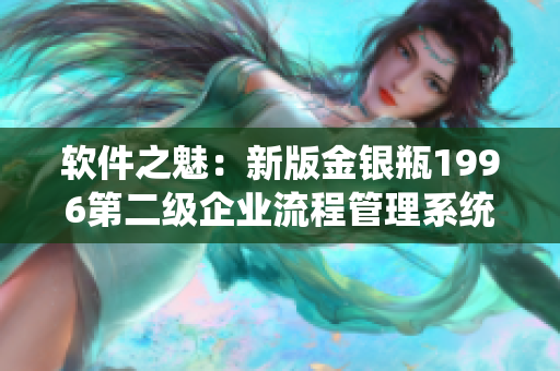 软件之魅：新版金银瓶1996第二级企业流程管理系统助力业务优化