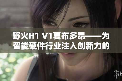 野火H1 V1夏布多昂——为智能硬件行业注入创新力的软件