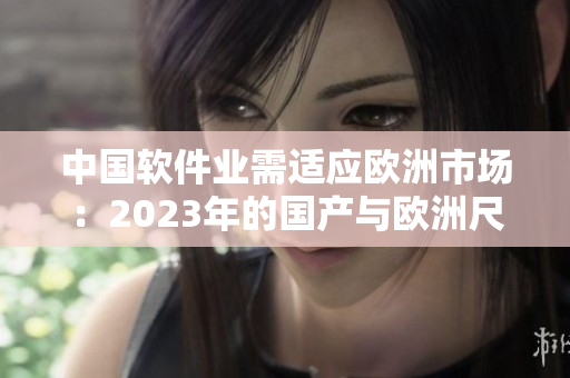 中国软件业需适应欧洲市场：2023年的国产与欧洲尺码表差异