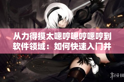 从力得摸太嗯哼嗯哼嗯哼到软件领域：如何快速入门并运用成功？
