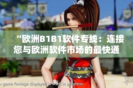 “欧洲B1B1软件专线：连接您与欧洲软件市场的最快通道”