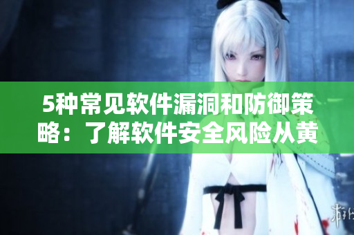 5种常见软件漏洞和防御策略：了解软件安全风险从黄瓜丝到土豆再到你的电脑