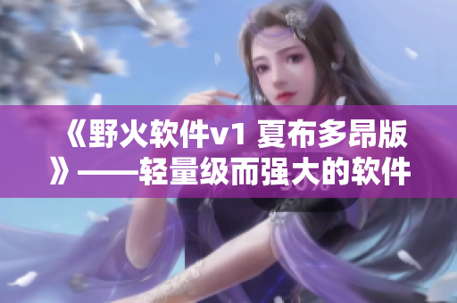 《野火软件v1 夏布多昂版》——轻量级而强大的软件工具！