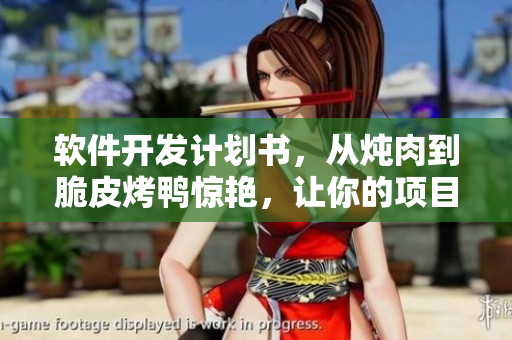 软件开发计划书，从炖肉到脆皮烤鸭惊艳，让你的项目甜上加糖!