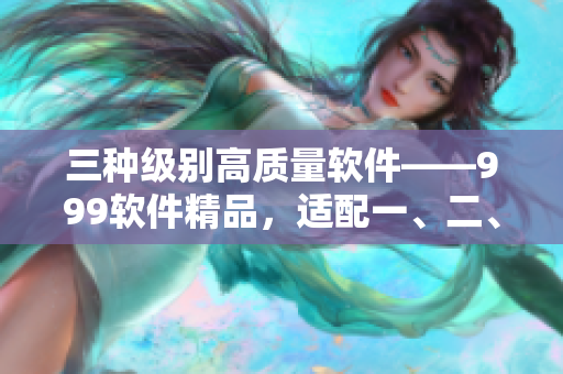 三种级别高质量软件——999软件精品，适配一、二、三线市场需求
