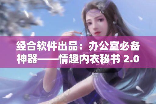 经合软件出品：办公室必备神器——情趣内衣秘书 2.0