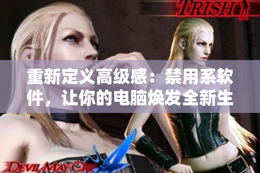 重新定义高级感：禁用系软件，让你的电脑焕发全新生机
