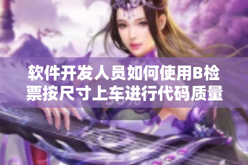 软件开发人员如何使用B检票按尺寸上车进行代码质量控制