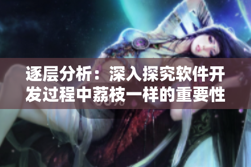逐层分析：深入探究软件开发过程中荔枝一样的重要性