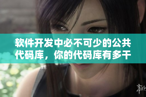 软件开发中必不可少的公共代码库，你的代码库有多干净？