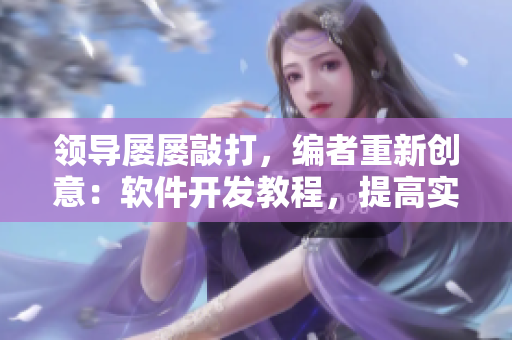 领导屡屡敲打，编者重新创意：软件开发教程，提高实战技能