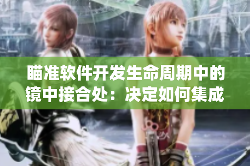 瞄准软件开发生命周期中的镜中接合处：决定如何集成DevOps工具