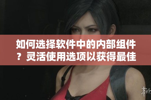 如何选择软件中的内部组件？灵活使用选项以获得最佳结果。