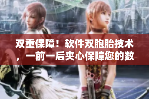 双重保障！软件双胞胎技术，一前一后夹心保障您的数据安全
