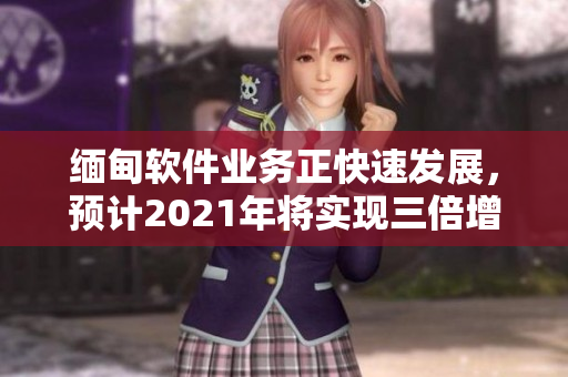 缅甸软件业务正快速发展，预计2021年将实现三倍增长