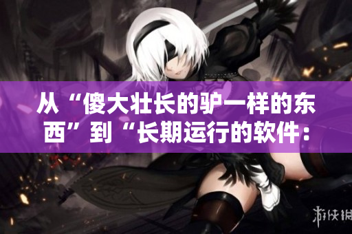 从“傻大壮长的驴一样的东西”到“长期运行的软件：如何确保其稳定？”