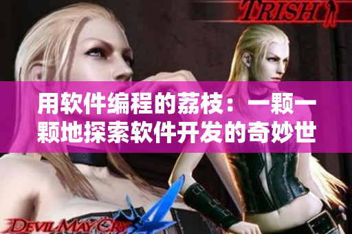 用软件编程的荔枝：一颗一颗地探索软件开发的奇妙世界