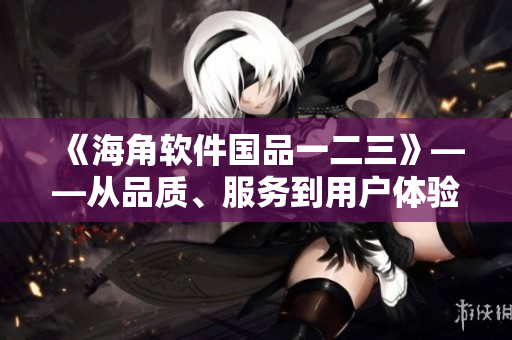 《海角软件国品一二三》——从品质、服务到用户体验，构建完美软件生态！