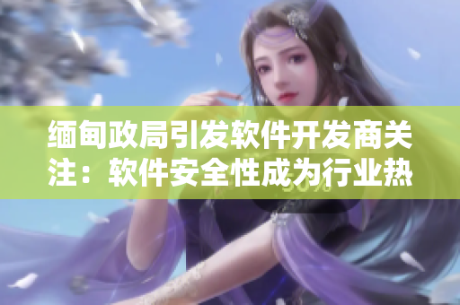 缅甸政局引发软件开发商关注：软件安全性成为行业热议话题