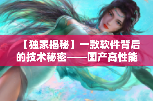 【独家揭秘】一款软件背后的技术秘密——国产高性能软件的研发真相