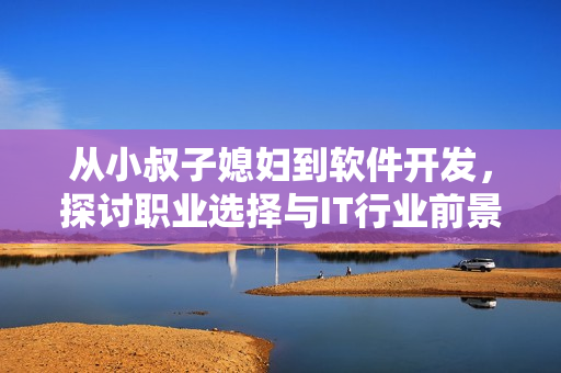 从小叔子媳妇到软件开发，探讨职业选择与IT行业前景