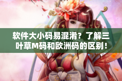 软件大小码易混淆？了解三叶草M码和欧洲码的区别！