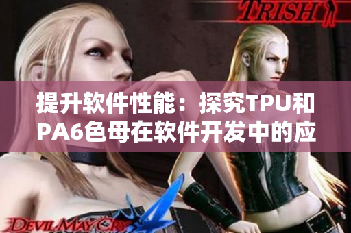 提升软件性能：探究TPU和PA6色母在软件开发中的应用