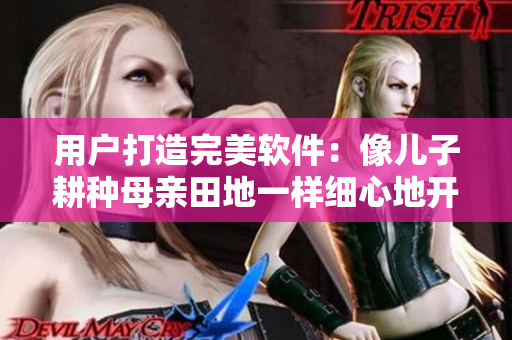 用户打造完美软件：像儿子耕种母亲田地一样细心地开发和维护