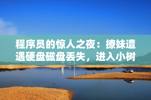 程序员的惊人之夜：撩妹遭遇硬盘磁盘丢失，进入小树林“重构”技艺