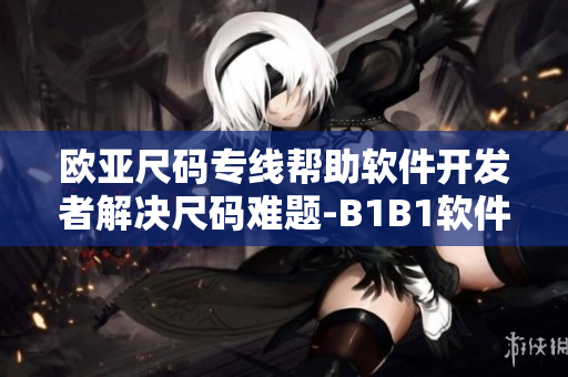 欧亚尺码专线帮助软件开发者解决尺码难题-B1B1软件解决方案