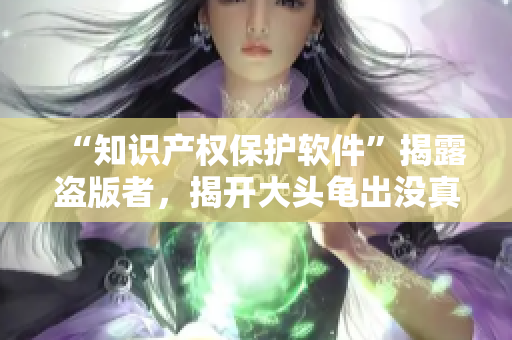 “知识产权保护软件”揭露盗版者，揭开大头龟出没真相！