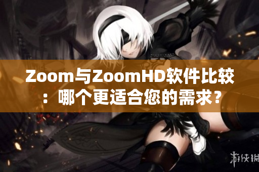 Zoom与ZoomHD软件比较：哪个更适合您的需求？