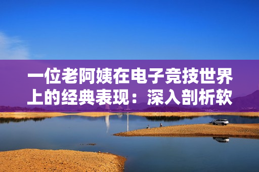 一位老阿姨在电子竞技世界上的经典表现：深入剖析软件对CSGO比赛的影响