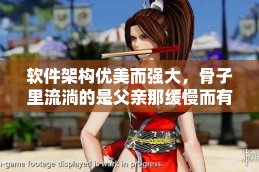 软件架构优美而强大，骨子里流淌的是父亲那缓慢而有力的坚韧精神