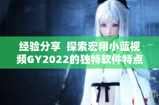 经验分享  探索宏翔小蓝视频GY2022的独特软件特点