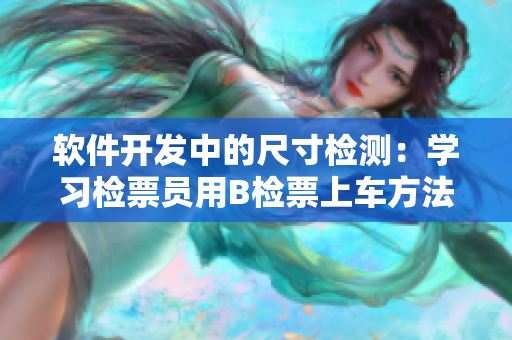 软件开发中的尺寸检测：学习检票员用B检票上车方法