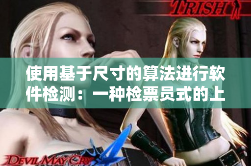 使用基于尺寸的算法进行软件检测：一种检票员式的上车方式