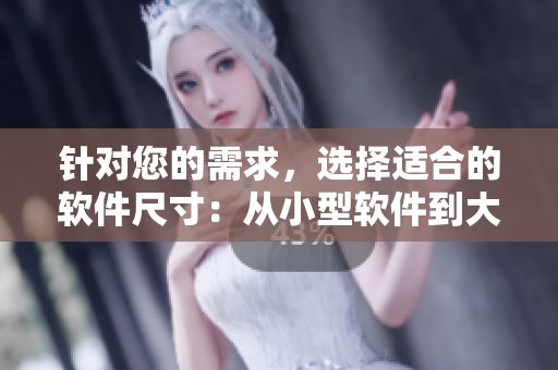 针对您的需求，选择适合的软件尺寸：从小型软件到大型软件