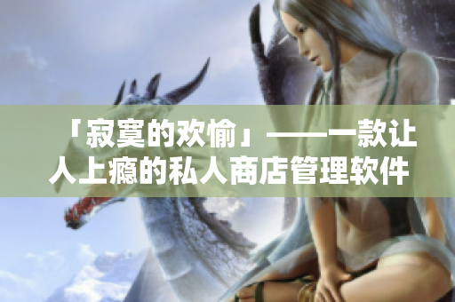 「寂寞的欢愉」——一款让人上瘾的私人商店管理软件