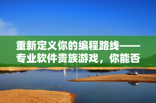 重新定义你的编程路线——专业软件贵族游戏，你能否获胜？