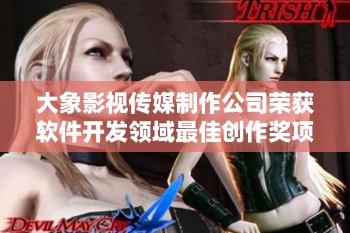 大象影视传媒制作公司荣获软件开发领域最佳创作奖项