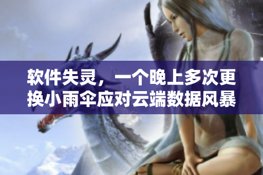 软件失灵，一个晚上多次更换小雨伞应对云端数据风暴