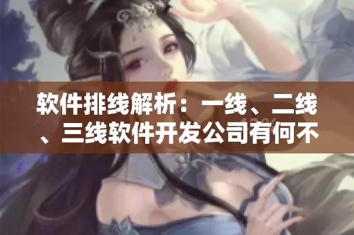 软件排线解析：一线、二线、三线软件开发公司有何不同？