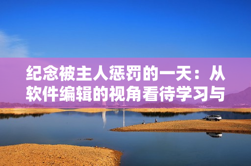 纪念被主人惩罚的一天：从软件编辑的视角看待学习与成长