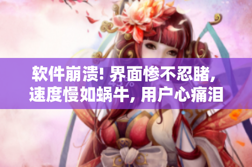 软件崩溃! 界面惨不忍睹, 速度慢如蜗牛, 用户心痛泪如雨下!