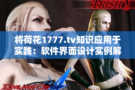 将荷花1777.tv知识应用于实践：软件界面设计实例解析